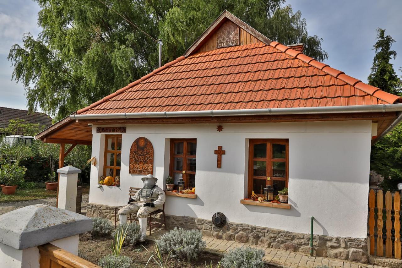 Hotel Mezes Vendeghaz Es Apiterapias Koezpont Vizsoly Exteriér fotografie